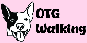 On The Go Walking - Dog Walking And Dog Poop Clean Up Service In Denton, Texas
