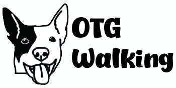 On The Go Walking - Dog Walking And Dog Poop Clean Up Service In Denton, Texas