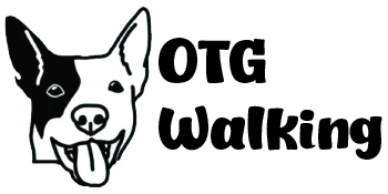 On The Go Walking - Dog Walking And Dog Poop Clean Up Service In Denton, Texas